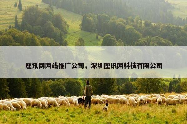 厘讯网网站推广公司，深圳厘讯网科技有限公司