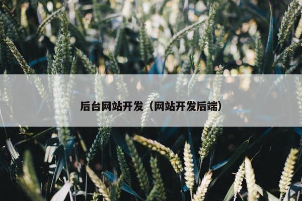 后台网站开发（网站开发后端）