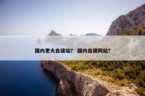 国内更大自建站？ 国内自建网站？