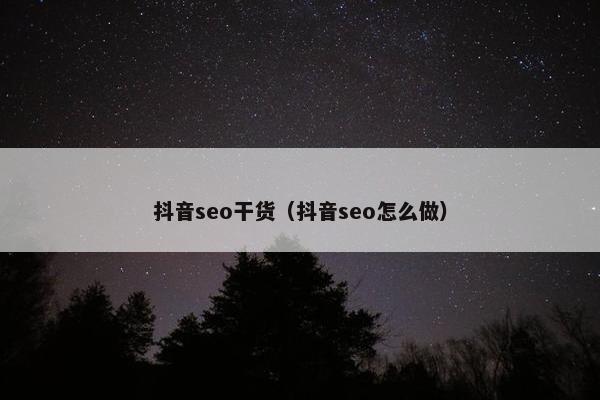 抖音seo干货（抖音seo怎么做）