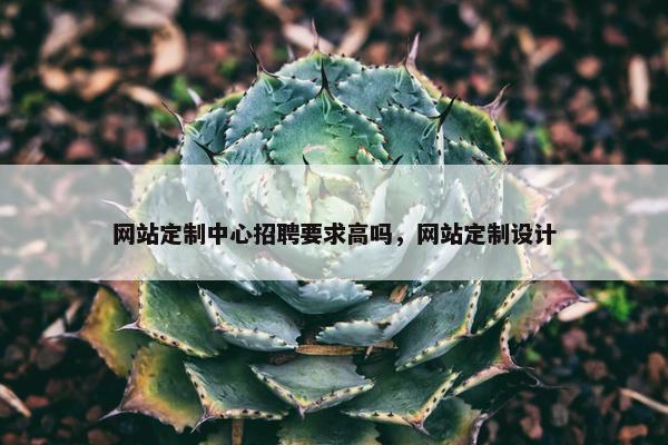 网站定制中心招聘要求高吗，网站定制设计