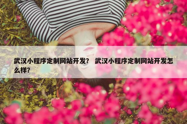 武汉小程序定制网站开发？ 武汉小程序定制网站开发怎么样？