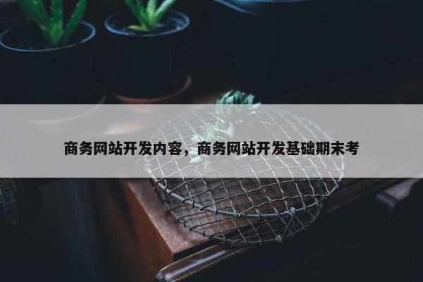 商务网站开发内容，商务网站开发基础期末考