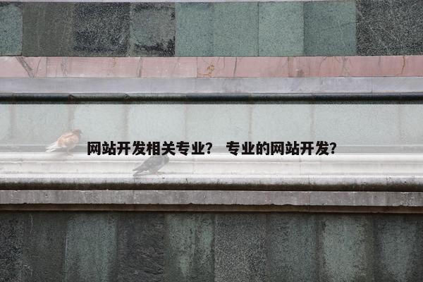 网站开发相关专业？ 专业的网站开发？