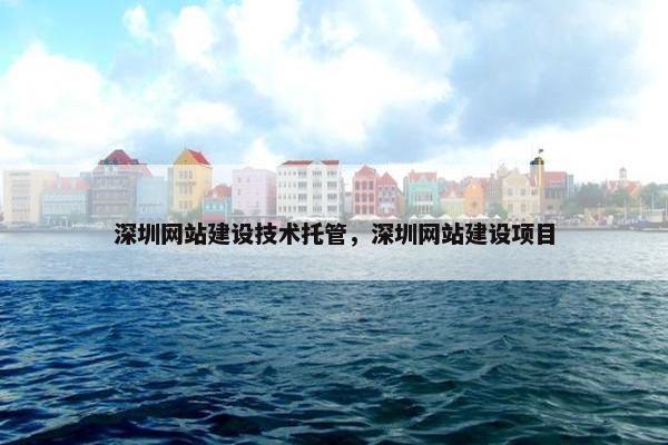 深圳网站建设技术托管，深圳网站建设项目