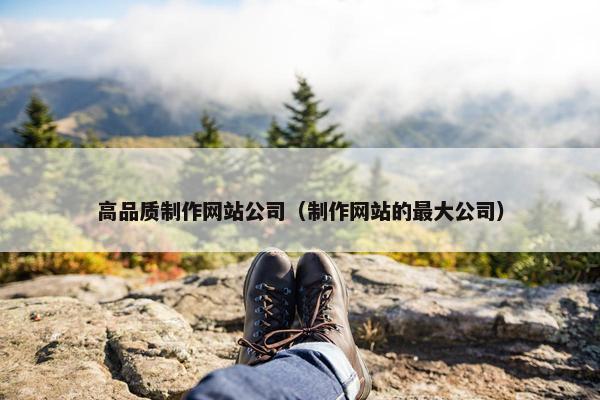 高品质制作网站公司（制作网站的最大公司）