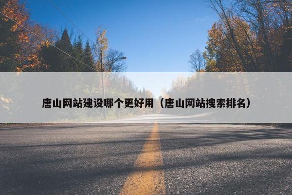 唐山网站建设哪个更好用（唐山网站搜索排名）