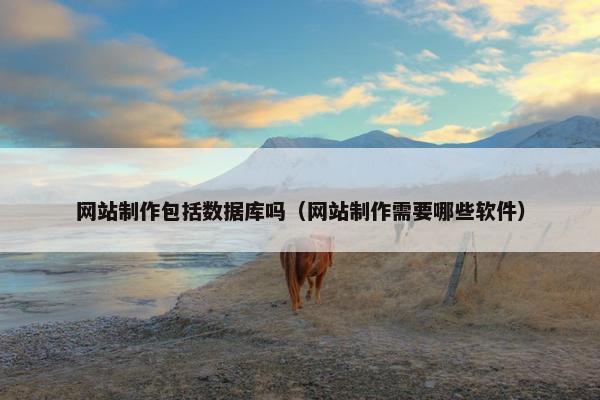 网站制作包括数据库吗（网站制作需要哪些软件）