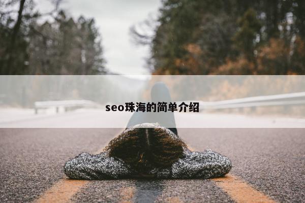 seo珠海的简单介绍