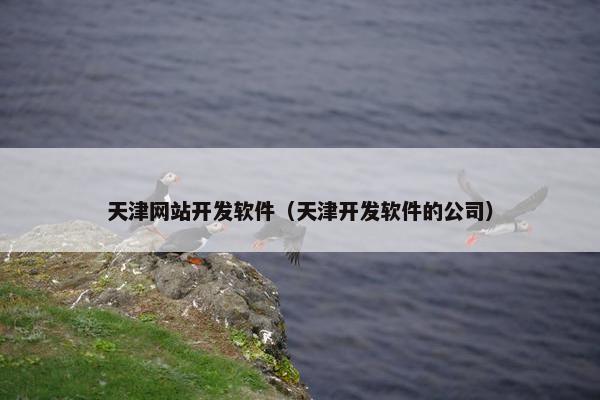天津网站开发软件（天津开发软件的公司）