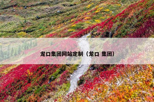 龙口集团网站定制（龙口 集团）