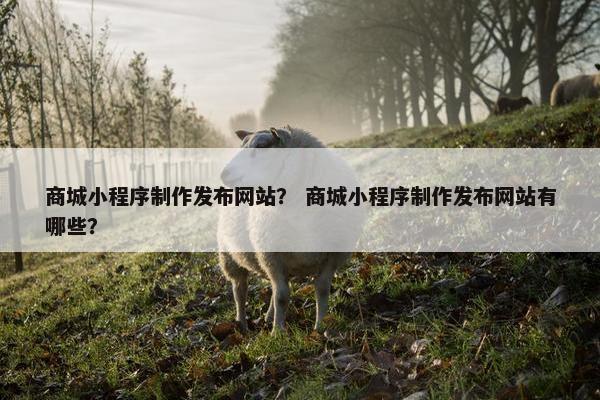 商城小程序制作发布网站？ 商城小程序制作发布网站有哪些？