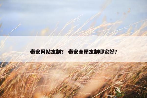 泰安网站定制？ 泰安全屋定制哪家好？