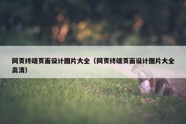 网页终端页面设计图片大全（网页终端页面设计图片大全高清）