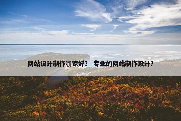 网站设计制作哪家好？ 专业的网站制作设计？