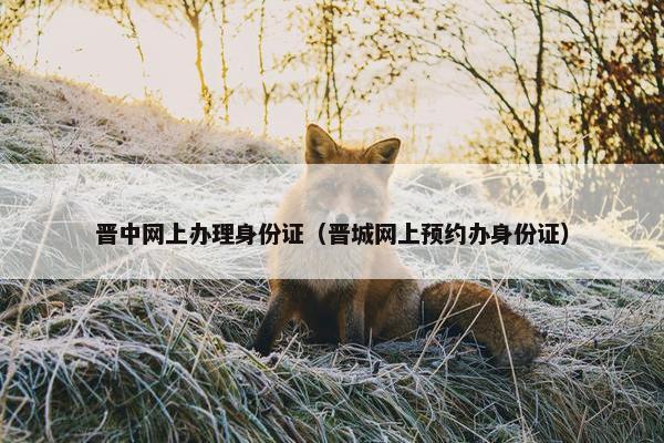 晋中网上办理身份证（晋城网上预约办身份证）