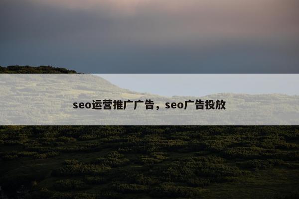 seo运营推广广告，seo广告投放