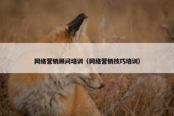 网络营销顾问培训（网络营销技巧培训）