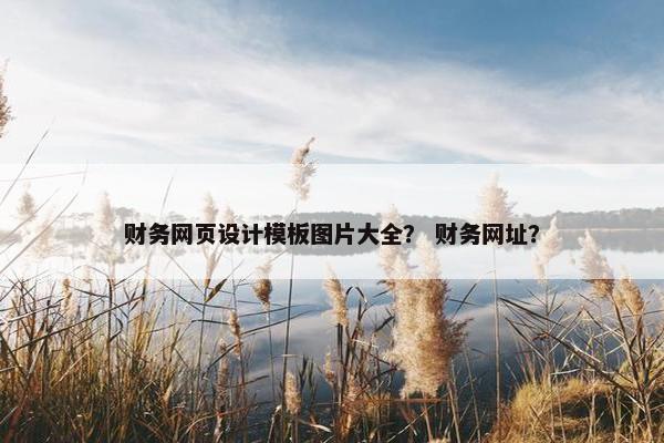 财务网页设计模板图片大全？ 财务网址？