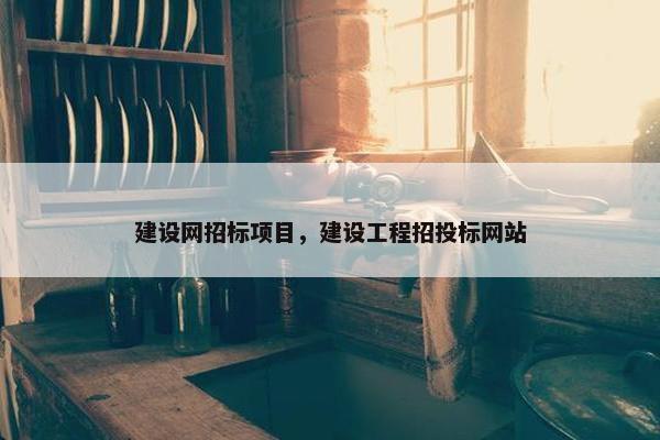 建设网招标项目，建设工程招投标网站