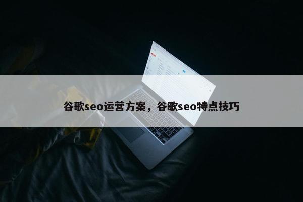 谷歌seo运营方案，谷歌seo特点技巧