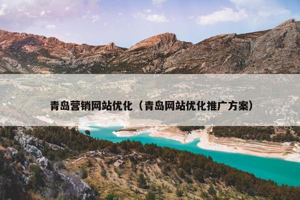 青岛营销网站优化（青岛网站优化推广方案）