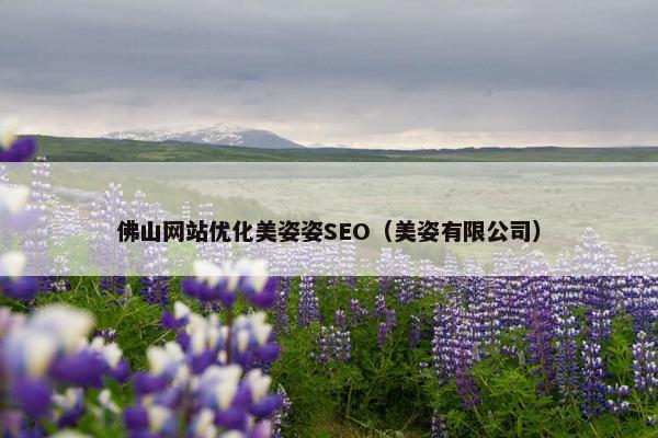 佛山网站优化美姿姿SEO（美姿有限公司）