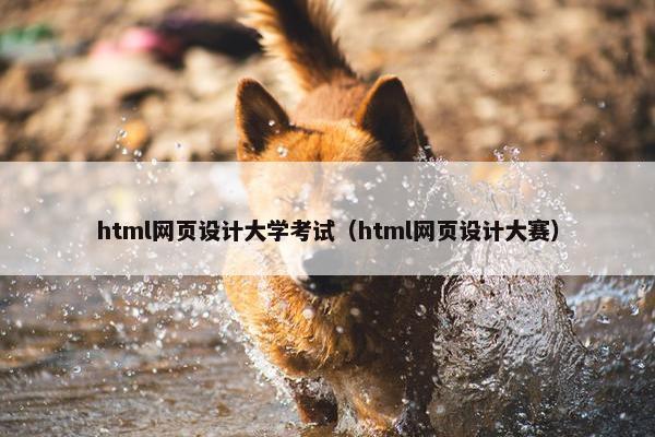 html网页设计大学考试（html网页设计大赛）