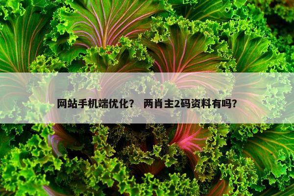 网站手机端优化？ 两肖主2码资料有吗？