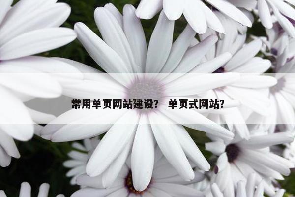 常用单页网站建设？ 单页式网站？