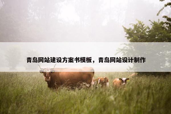 青岛网站建设方案书模板，青岛网站设计制作