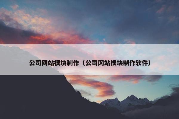 公司网站模块制作（公司网站模块制作软件）