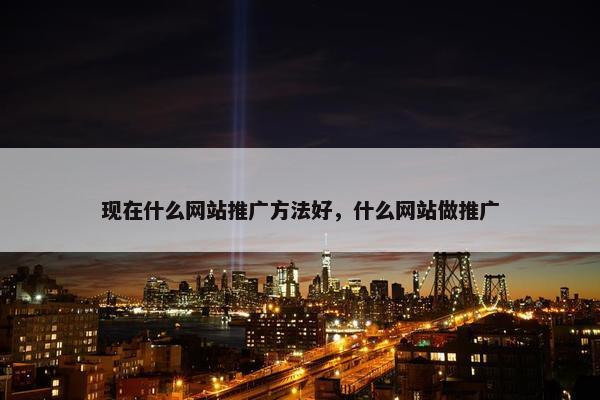 现在什么网站推广方法好，什么网站做推广
