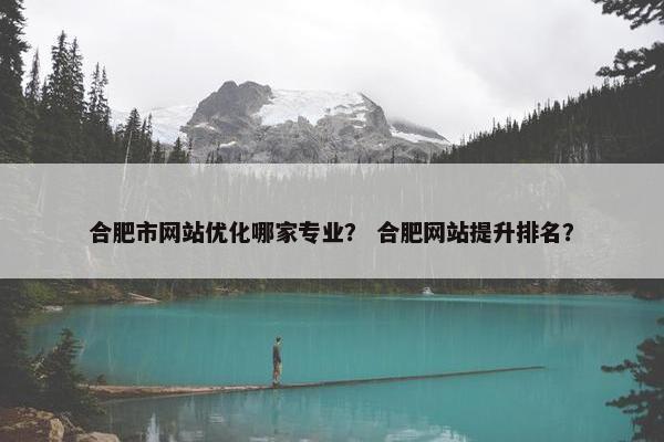 合肥市网站优化哪家专业？ 合肥网站提升排名？