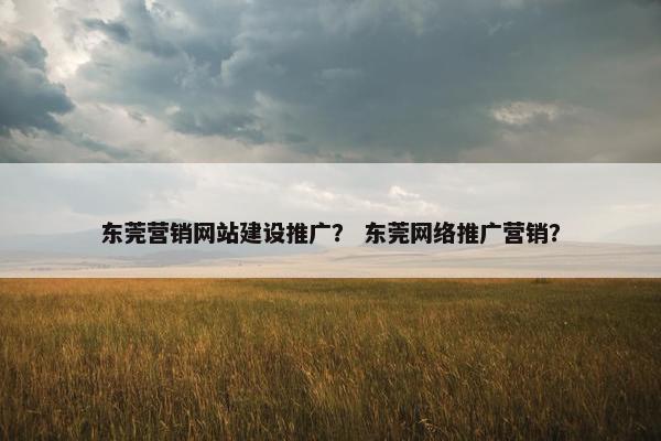东莞营销网站建设推广？ 东莞网络推广营销？