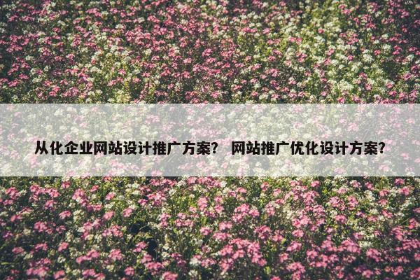 从化企业网站设计推广方案？ 网站推广优化设计方案？