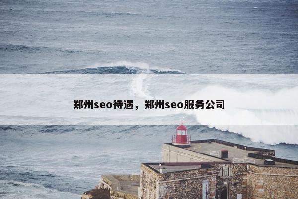 郑州seo待遇，郑州seo服务公司