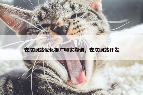 安庆网站优化推广哪家靠谱，安庆网站开发