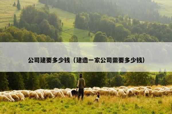公司建要多少钱（建造一家公司需要多少钱）