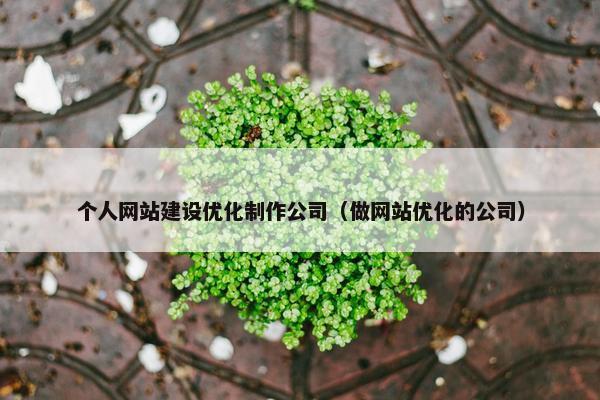 个人网站建设优化制作公司（做网站优化的公司）
