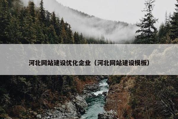 河北网站建设优化企业（河北网站建设模板）