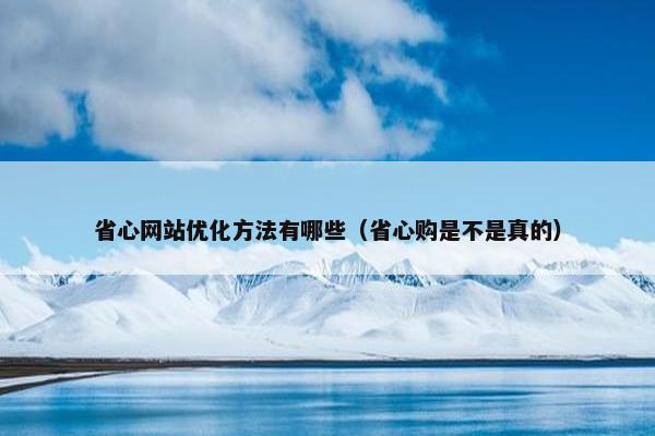 省心网站优化方法有哪些（省心购是不是真的）