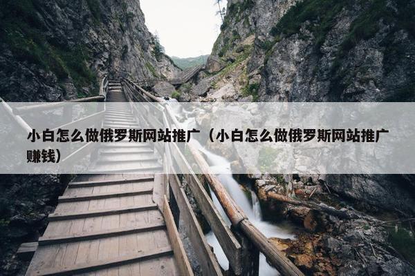 小白怎么做俄罗斯网站推广（小白怎么做俄罗斯网站推广赚钱）