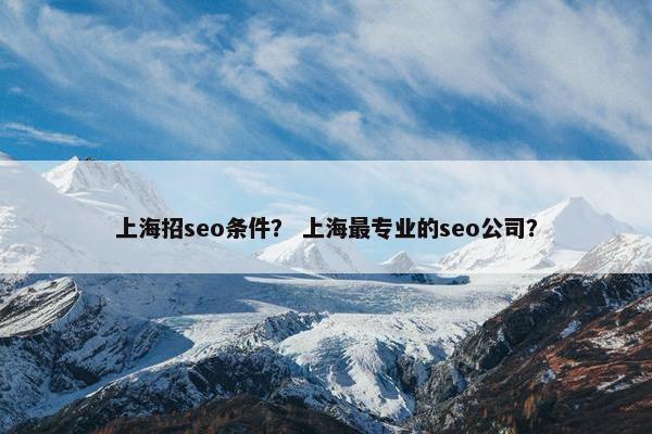 上海招seo条件？ 上海最专业的seo公司？