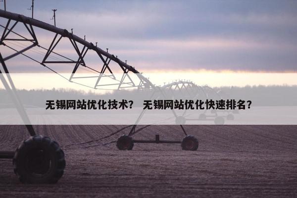 无锡网站优化技术？ 无锡网站优化快速排名？