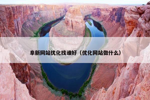 阜新网站优化找谁好（优化网站做什么）