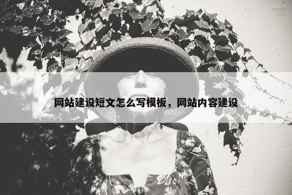 网站建设短文怎么写模板，网站内容建设