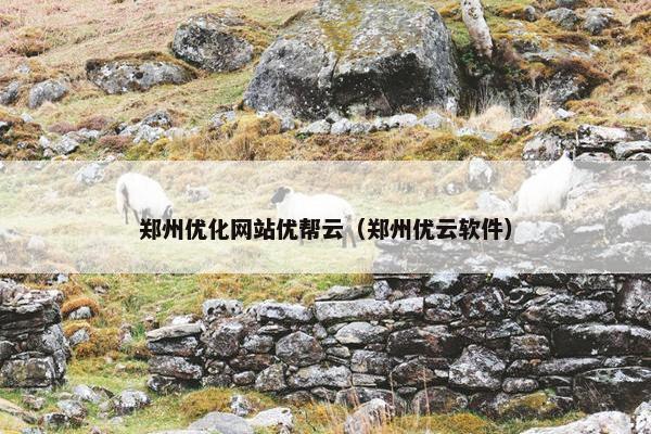 郑州优化网站优帮云（郑州优云软件）