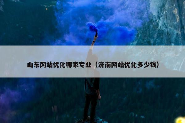 山东网站优化哪家专业（济南网站优化多少钱）