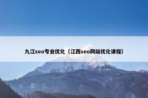 九江seo专业优化（江西seo网站优化课程）